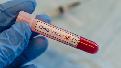 New Genomic Study Reveals Origin of DRC’s Ebola Outbreak