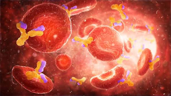 FDA Grants Approval to Johnson & Johnson’s IMAAVY for Warm Autoimmune Hemolytic Anemia